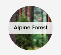 MYFRESH REFILL ALPINE FOREST 36 PER CS, 6 PER PKG